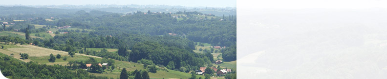 Notranja revizija, dejavnost Skupne občinske uprave 